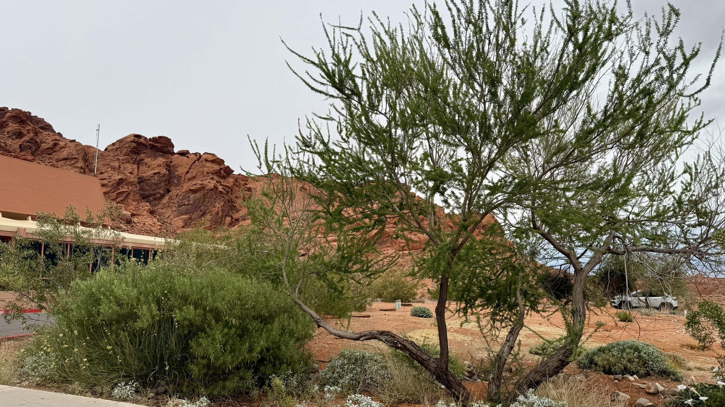 Valley of Fire Valley of Fire