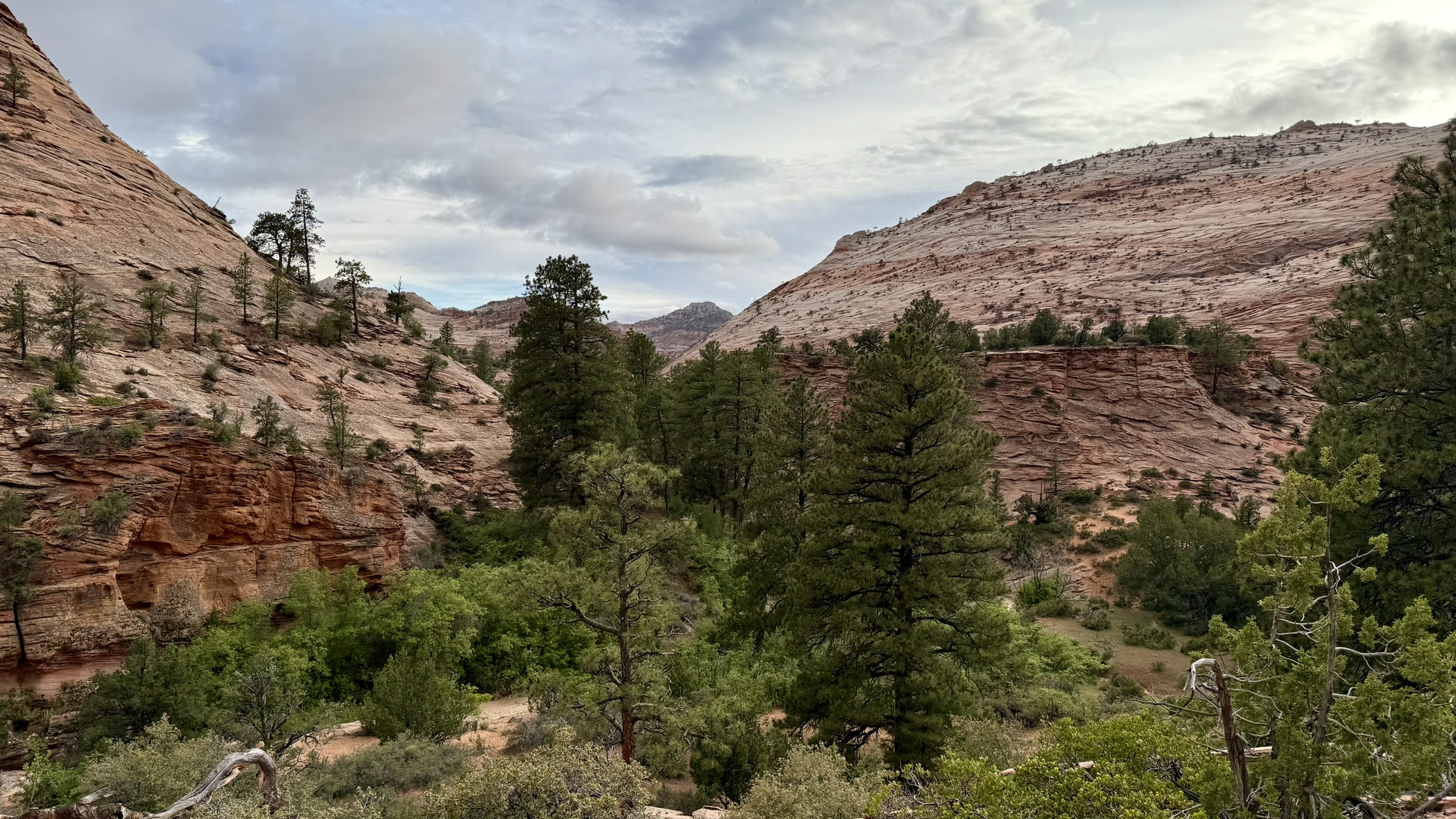Zion National Park Zion National Park