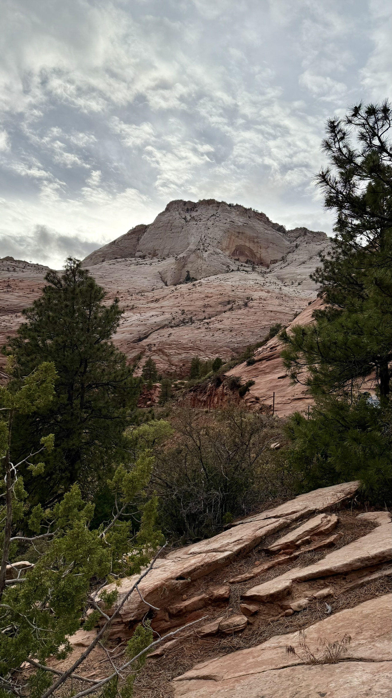 Zion National Park Zion National Park