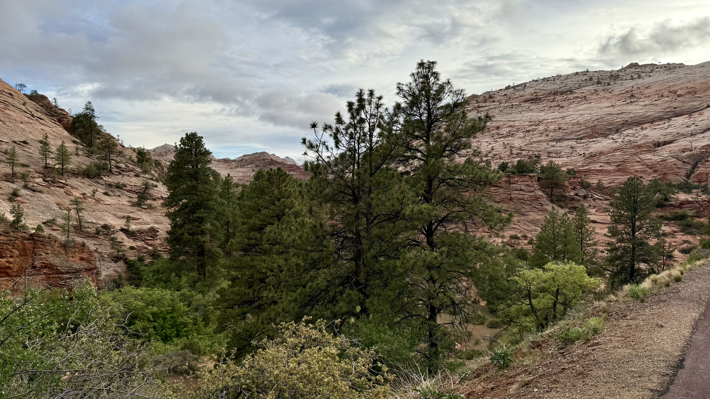 Zion National Park Zion National Park