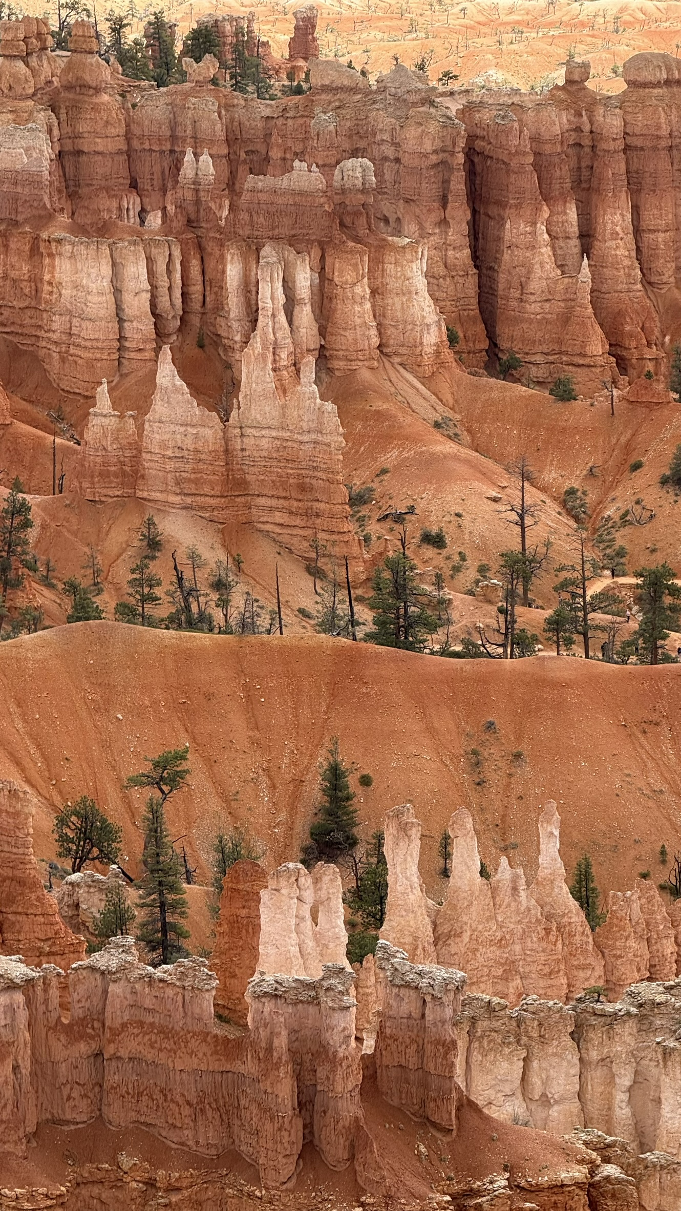 Bryce Canyon Bryce Canyon