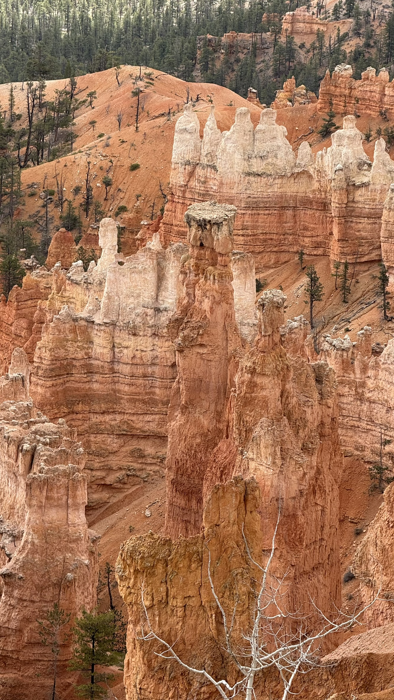 Bryce Canyon Bryce Canyon