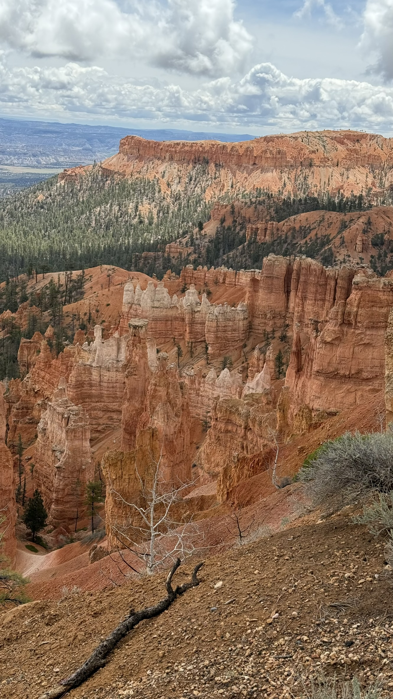 Bryce Canyon Bryce Canyon