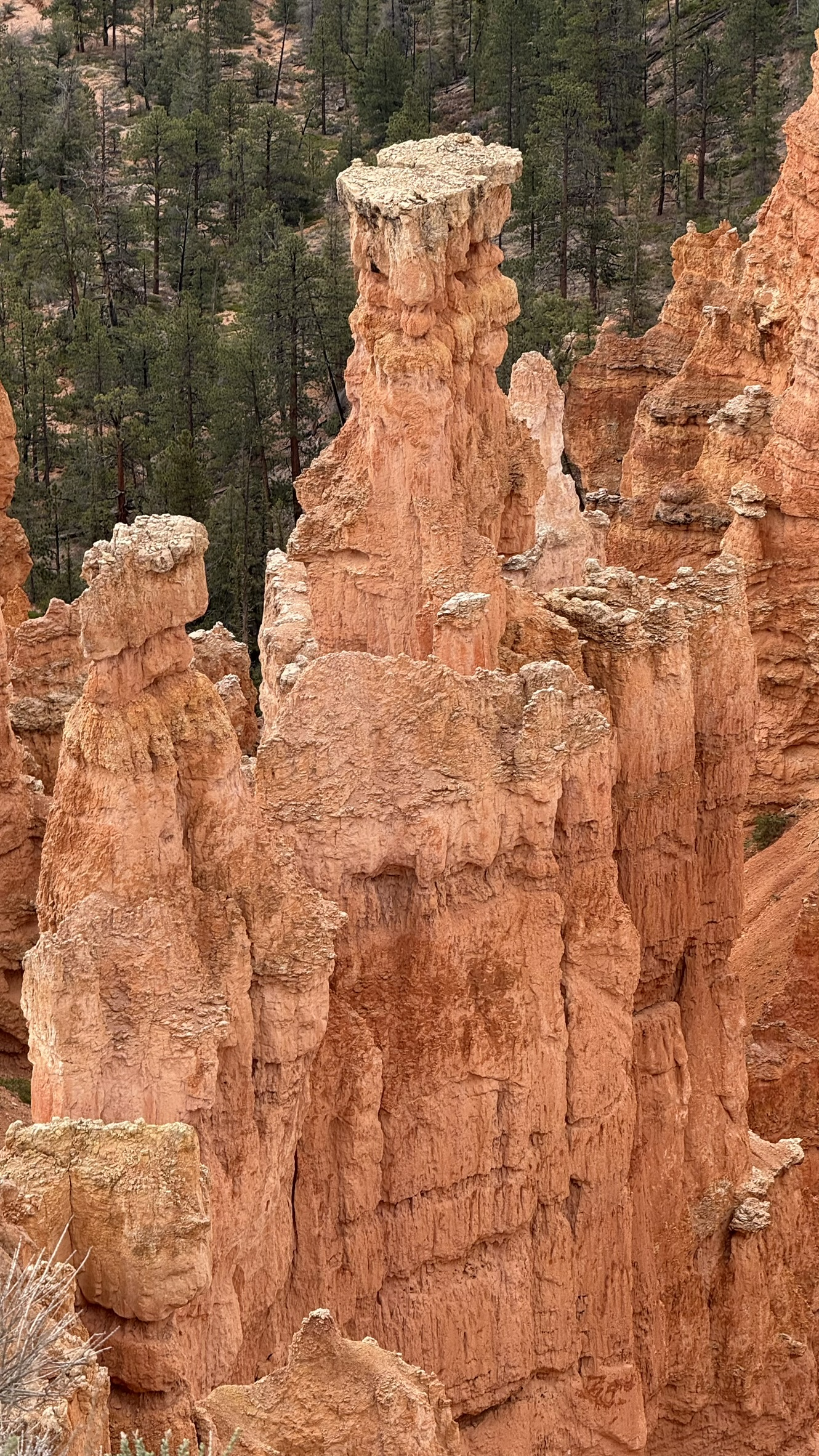 Bryce Canyon Bryce Canyon