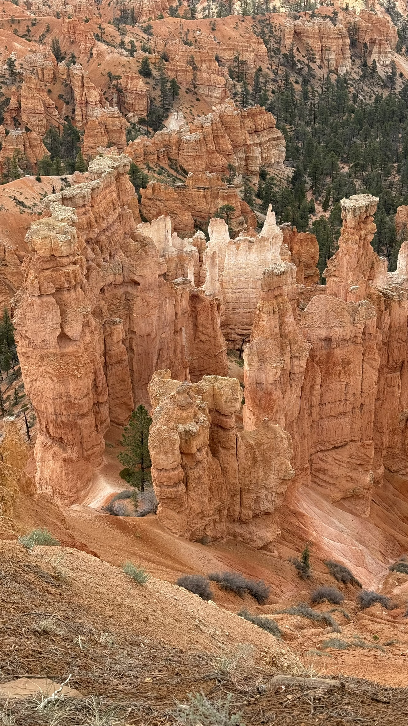 Bryce Canyon Bryce Canyon