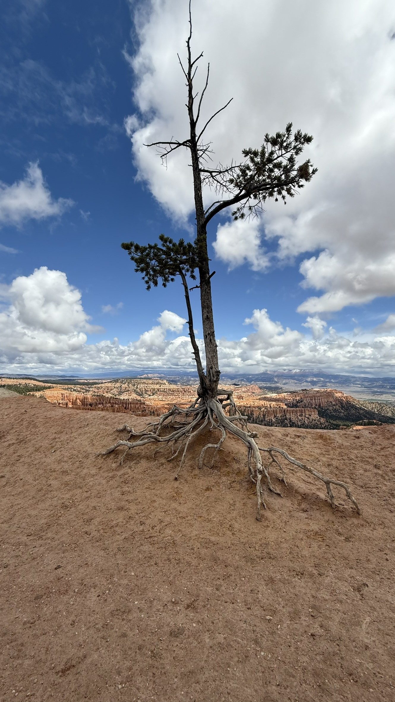 Bryce Canyon Bryce Canyon