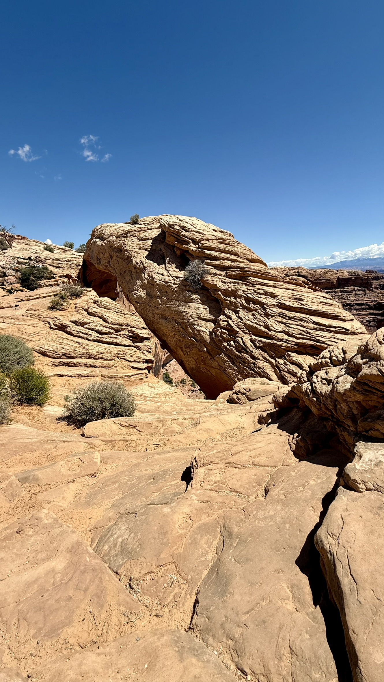 Canyonlands Canyonlands