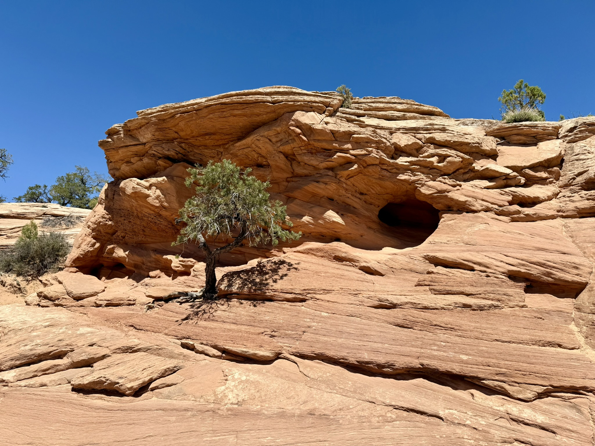 Canyonlands Canyonlands