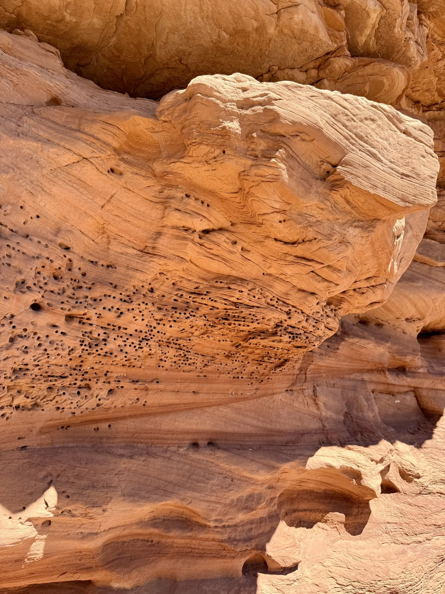 Canyonlands Canyonlands