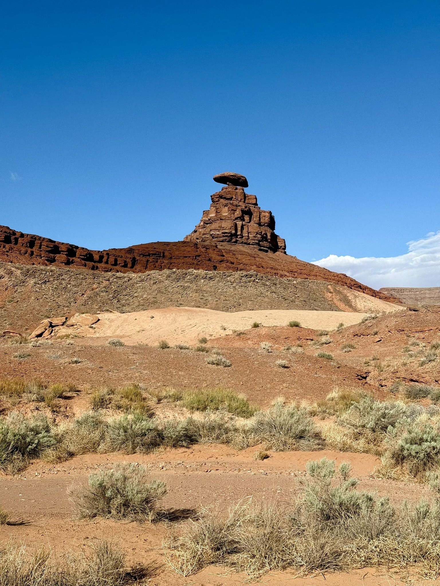 Mexican Hat Mexican Hat
