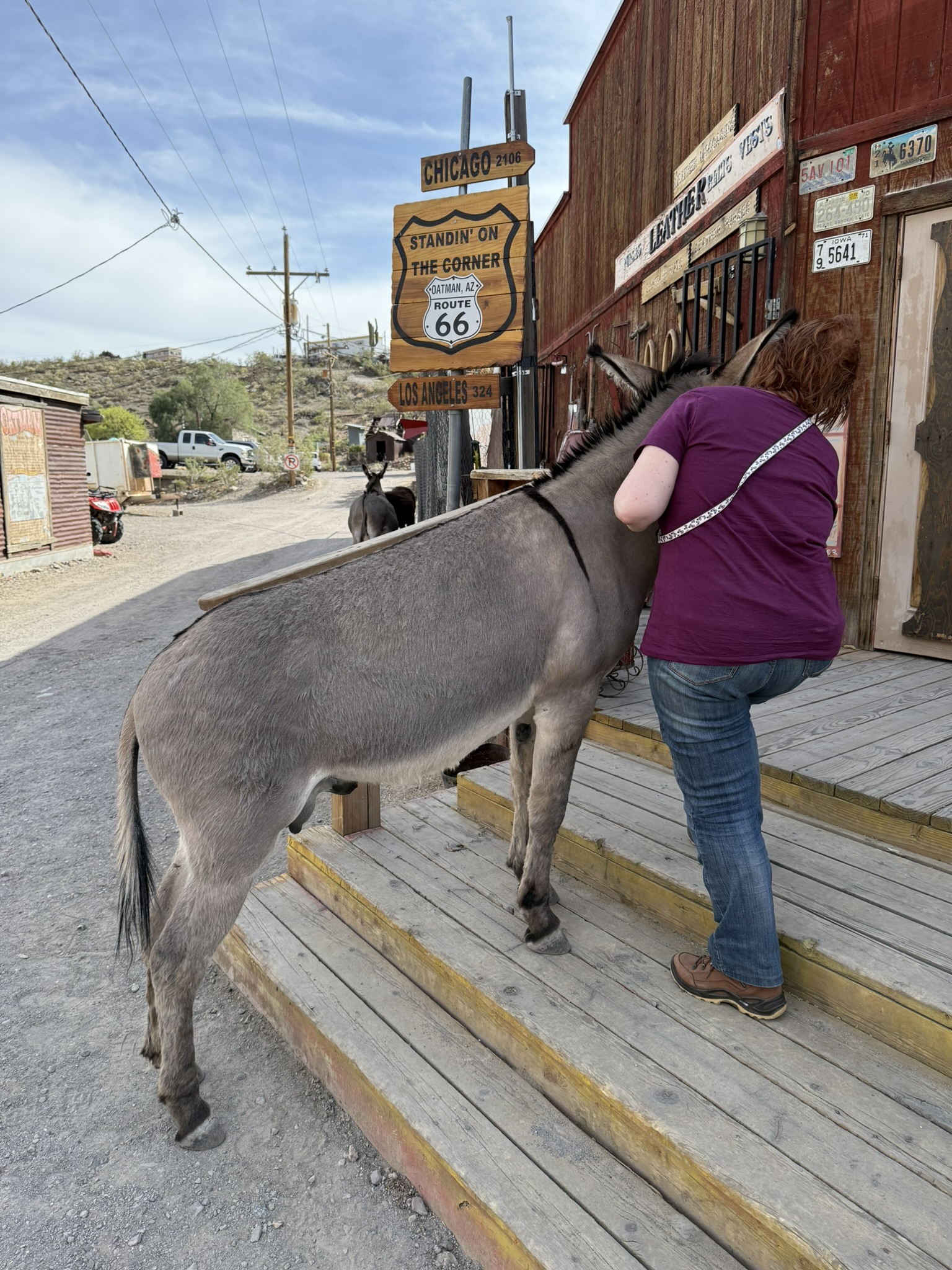 Oatman Route 66 Oatman Route 66