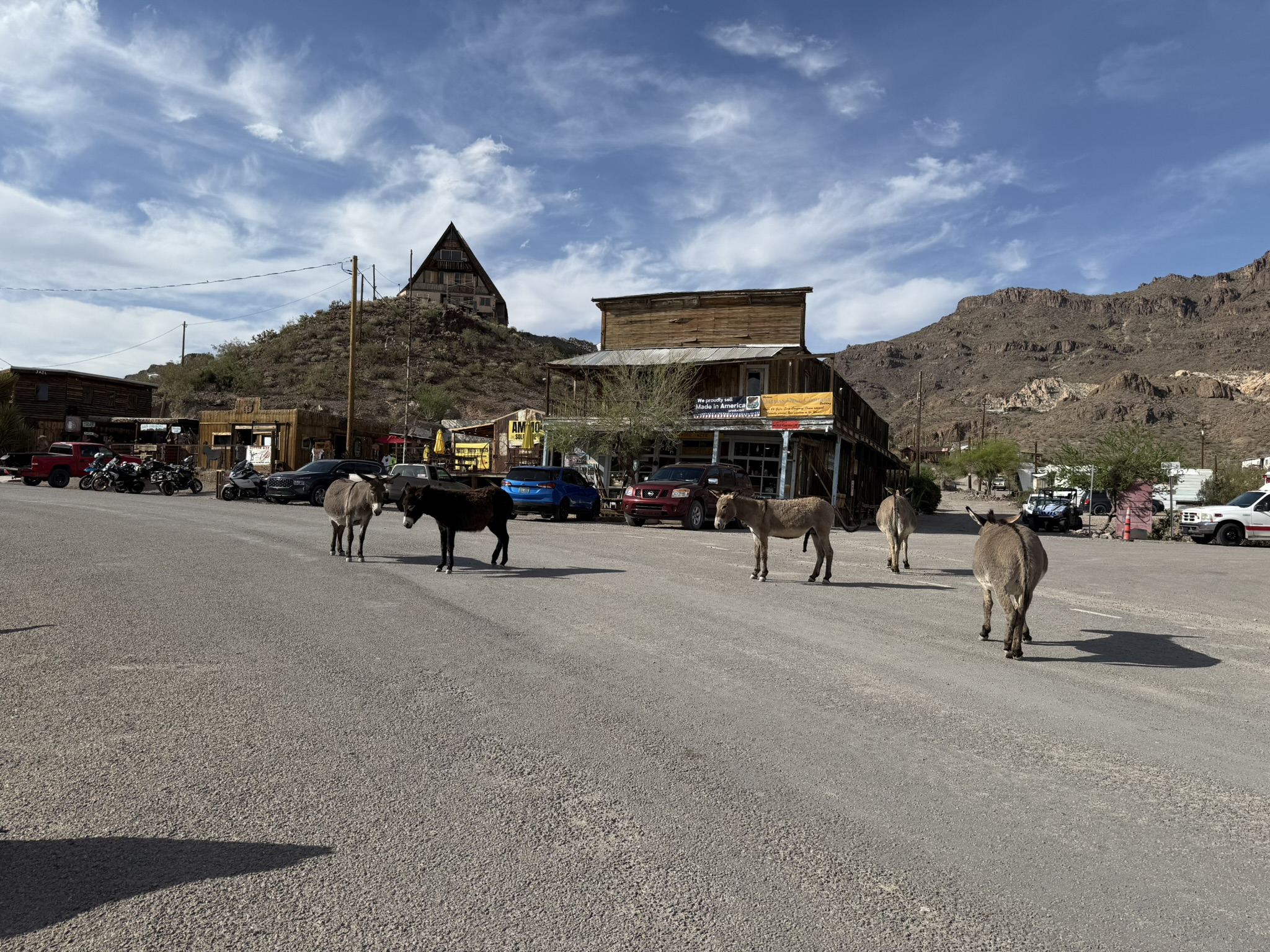 Oatman Route 66 Oatman Route 66