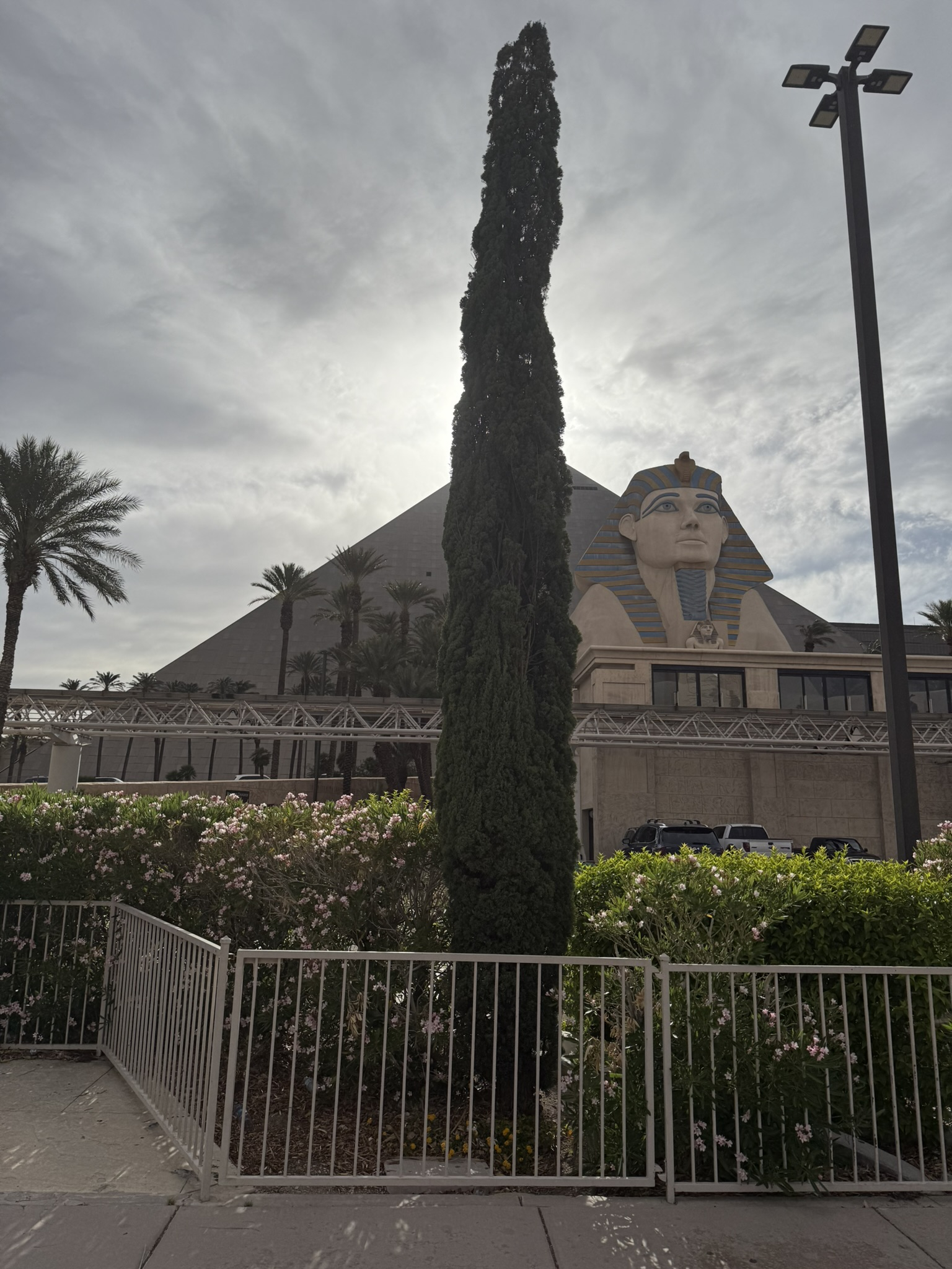 Las Vegas Las Vegas